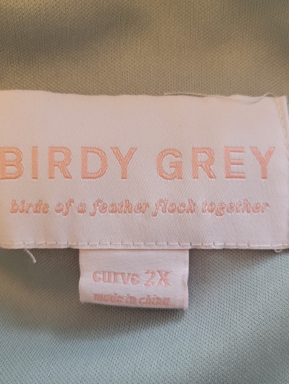 Birdy Grey Jane Dress in Sage Chiffon Long Dress Size 2X - Picture 6 of 6